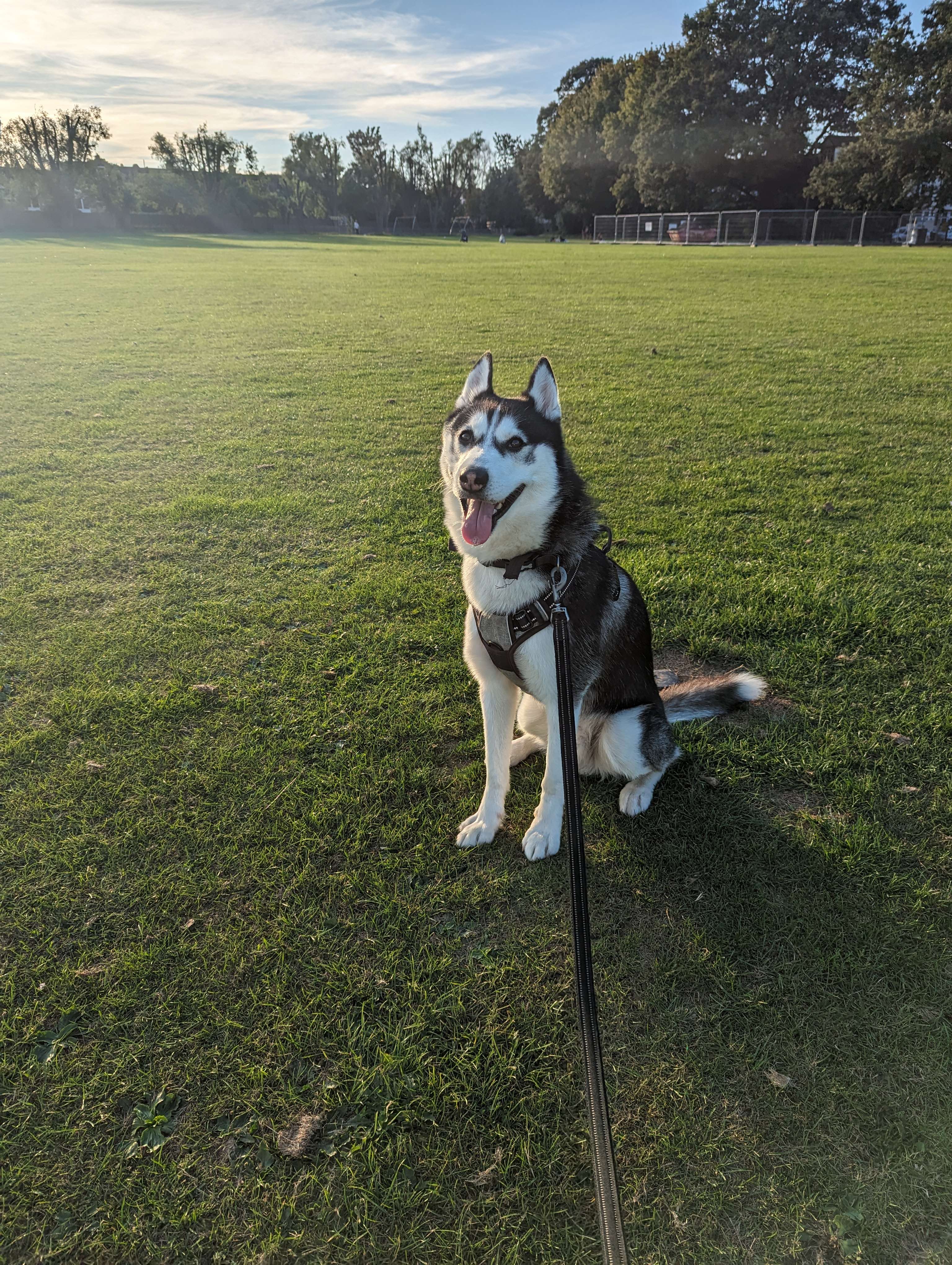 Ash sitting and smiling