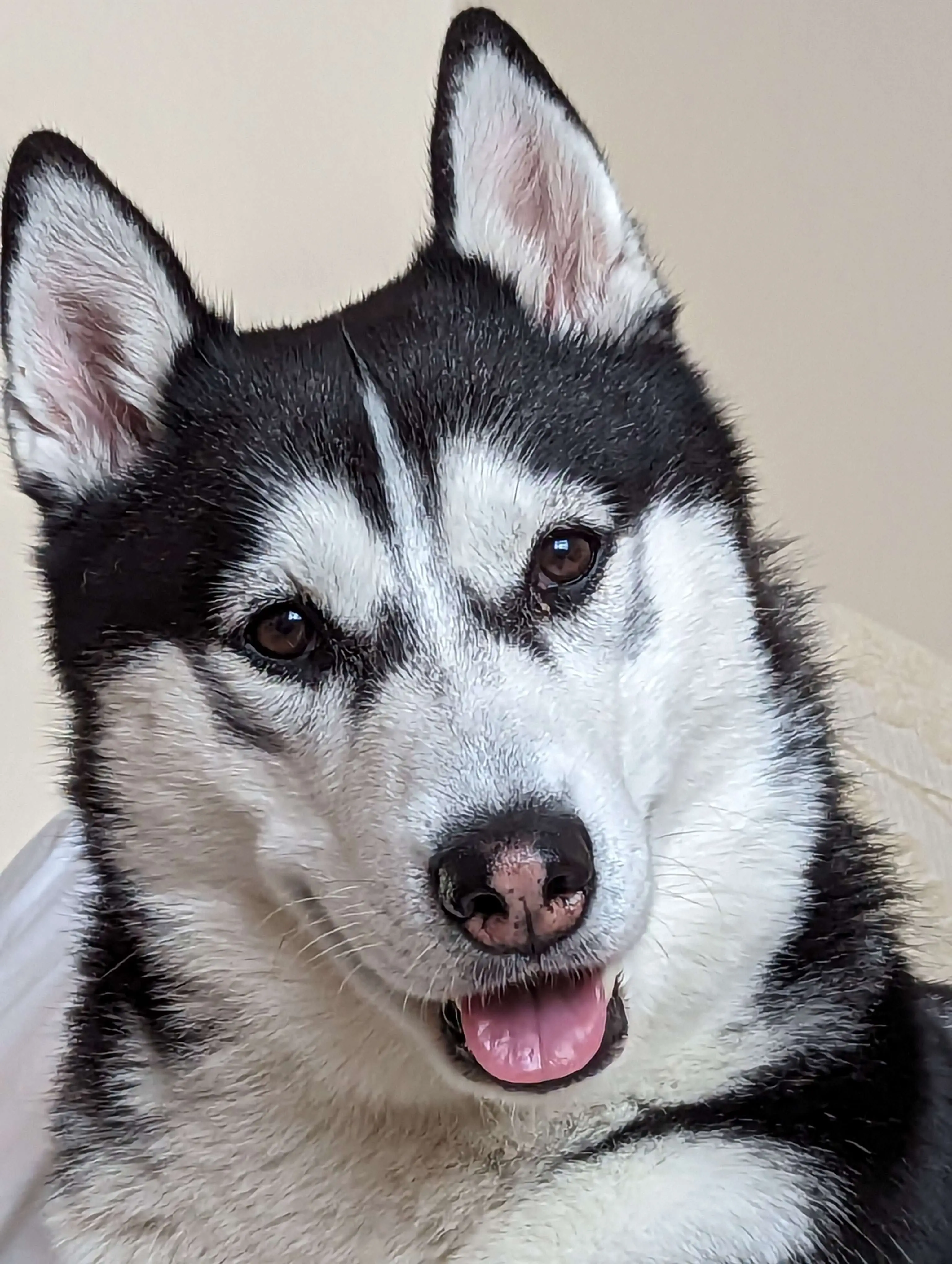 Ash tilting his head staring